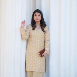 embroided viscose khaddar suit (2 pcs)